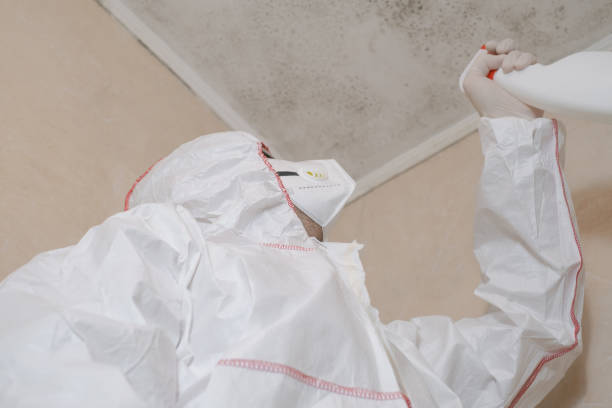 Best Toxic Mold Removal  in Washingtonville, NY